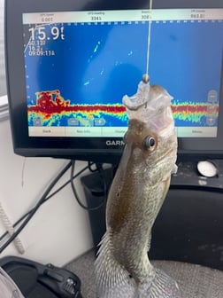 Fishing in Willis, Texas