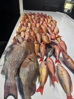 Fishing in Fort Myers Beach, Florida
