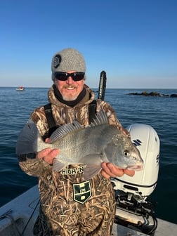 Fishing in Beaufort, North Carolina
