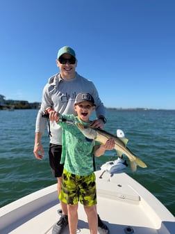 Fishing in Sarasota, Florida