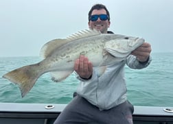 Fishing in Naples, Florida