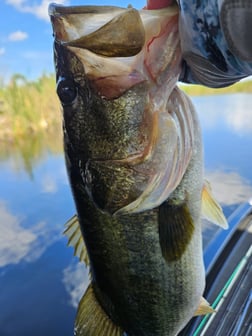 Fishing in Deerfield Beach, Florida
