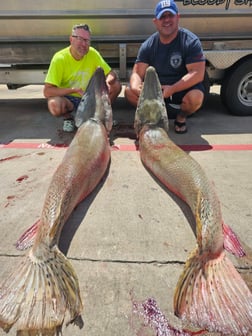 Fishing in Houston, Texas