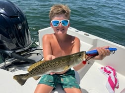 Fishing in St. Petersburg, Florida