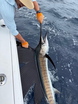 Fishing in Quepos, Costa Rica