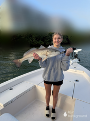Fishing in Sarasota, Florida