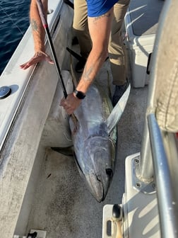 Fishing in Pensacola, Florida