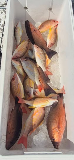 Fishing in Vero Beach, Florida