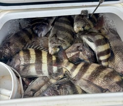 Fishing in Gulfport, Mississippi