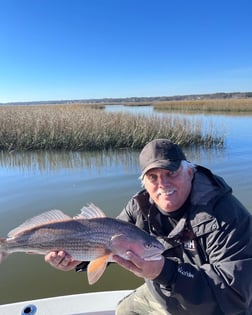 Black Drum Fishing in Little River, South Carolina
