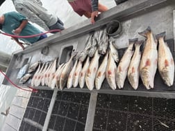 Fishing in Lake Charles, Louisiana