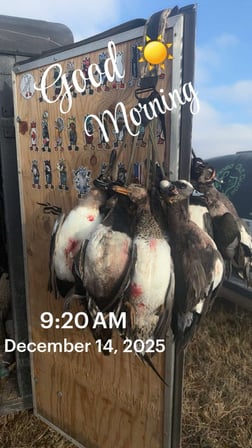 Hunting in Rising Star, Texas