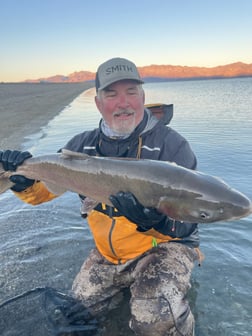 Fishing in Hume, California