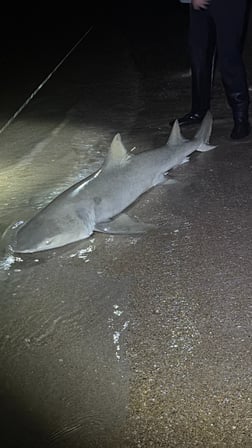 Fishing in New Smyrna Beach, Florida