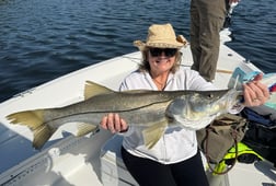 Snook Fishing in St. Petersburg, Florida