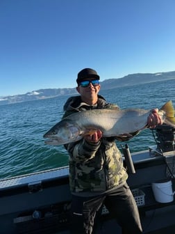 Fishing in Reno, Nevada