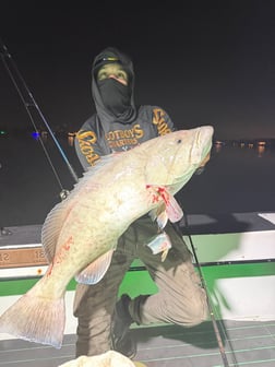 Fishing in St. Petersburg, Florida