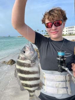 Fishing in Sarasota, Florida