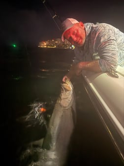 Fishing in Miami, Florida
