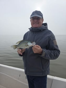 Fishing in Lake Panasoffkee, Florida