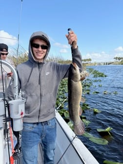 Fishing in Weston, Florida