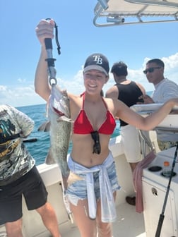Fishing in Tarpon Springs, Florida