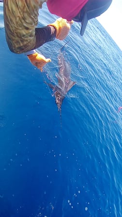 Fishing in Quepos, Costa Rica