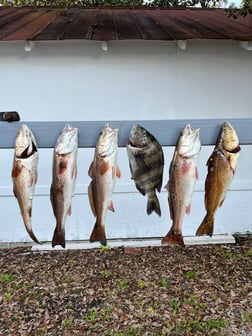 Fishing in Apalachicola, Florida