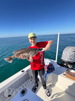 Fishing in Sarasota, Florida