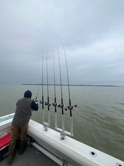Fishing in Oak Harbor, Ohio