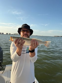 Fishing in Largo, Florida