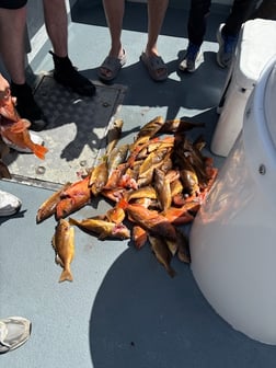 Fishing in Marina del Rey, California