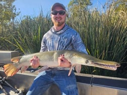 Fishing in Hockley, Texas
