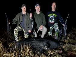 Hunting in Altha, Florida