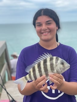 Fishing in Sarasota, Florida