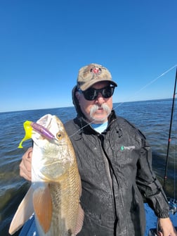Redfish Fishing in Rio Hondo, Texas