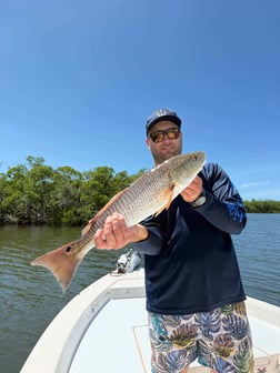 Fishing in Sarasota, Florida
