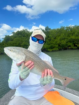 Fishing in Marco Island, Florida
