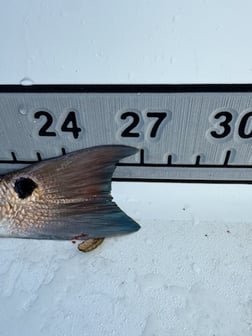 Fishing in St. Augustine, Florida