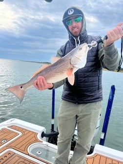 Speckled Trout / Spotted Seatrout Fishing in Little River, South Carolina
