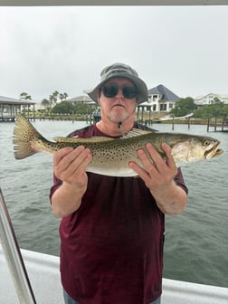 Fishing in Orange Beach, Alabama