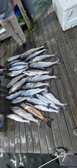 Fishing in Newaygo, Michigan