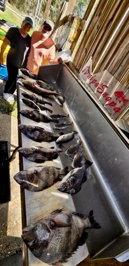 Fishing in D'Iberville, Mississippi