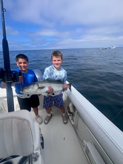 Fishing in Dennis, Massachusetts