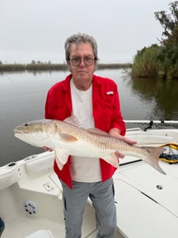 Fishing in Gulf Shores, Alabama