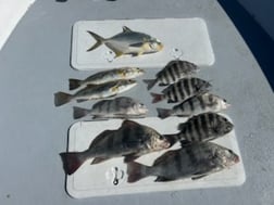 Fishing in Saint James City, Florida