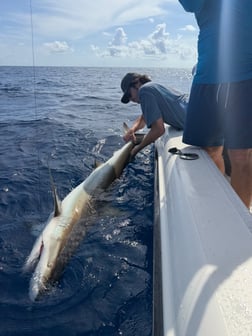 Fishing in Key Biscayne, Florida