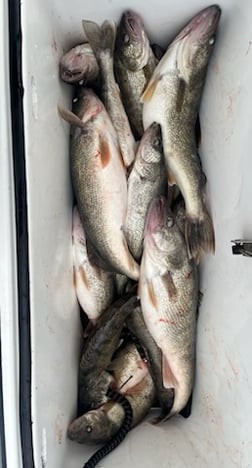 Fishing in Oak Harbor, Ohio