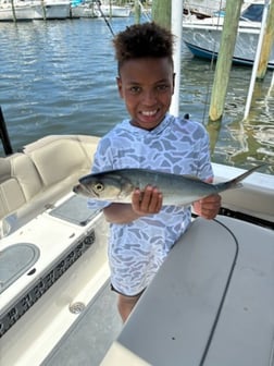 Fishing in Panama City, Florida