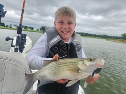 Fishing in Kingston, Oklahoma